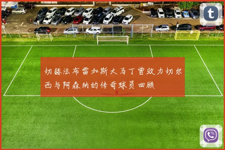 切赫法布雷加斯大马丁曾效力切尔西与阿森纳的传奇球员回顾